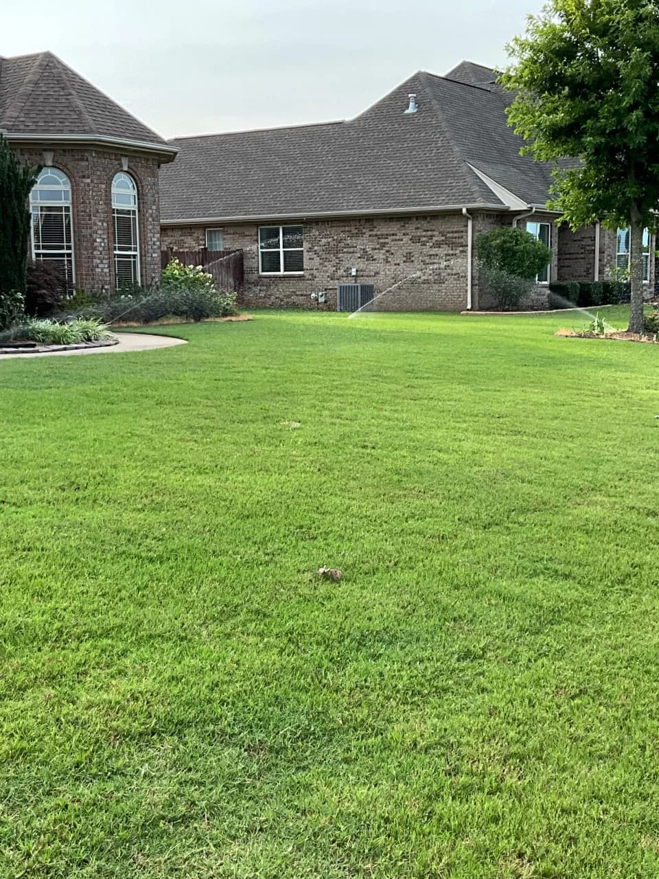 A green residential lawn with operating sprinklers
