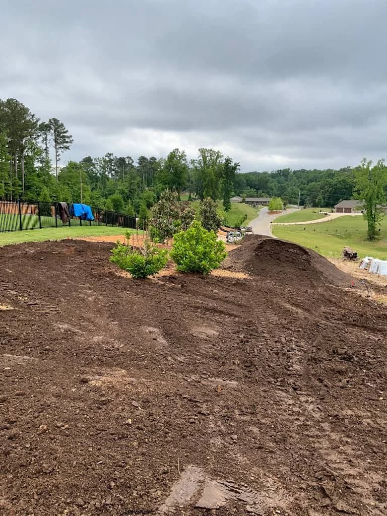 Prepared soil around an existing planting island